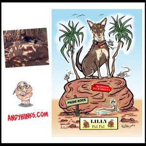 caricature illustration drawing andrew andy hinks Exmouth Markets Western Australia andyhinks.com